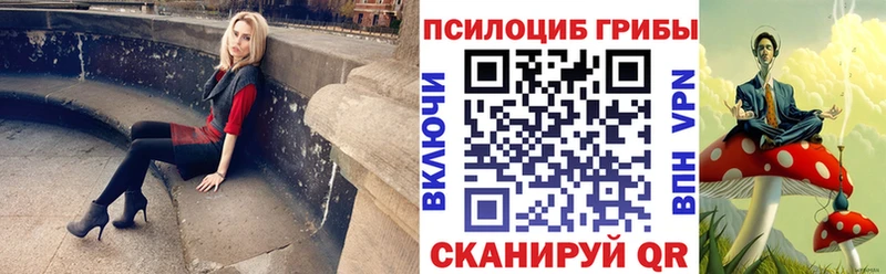 магазин  наркотиков  Певек  Псилоцибиновые грибы прущие грибы 